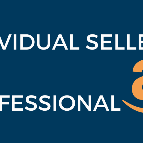 Professional vs. Individual Amazon Seller: Decoding the Difference